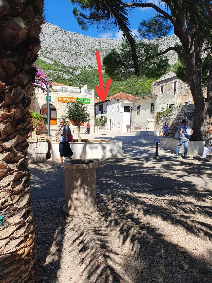 Villa Dardona Drvenik ドルヴェニク エクステリア 写真